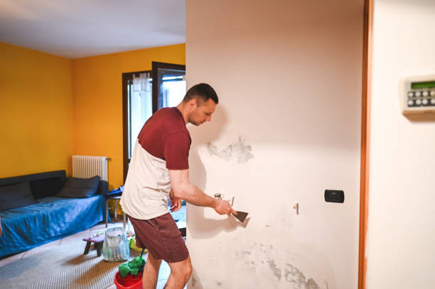Best Home Mold Removal  in Hamlet, IN